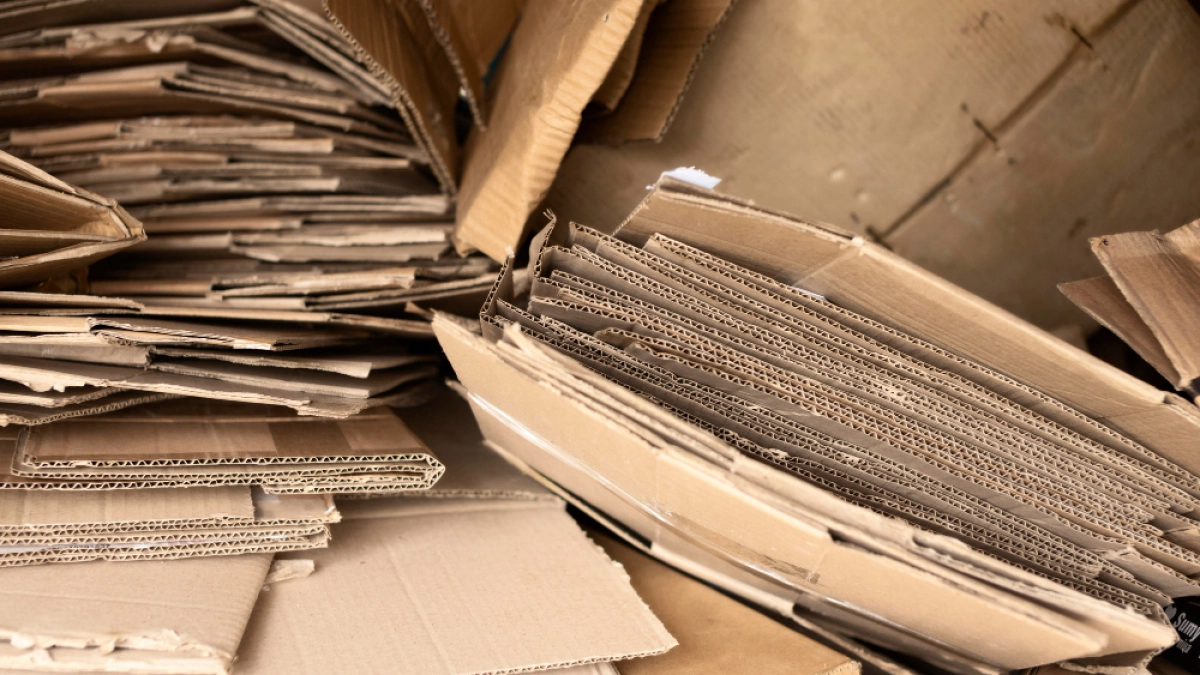 В Ельце и Данкове принимают макулатуру до конца апреля