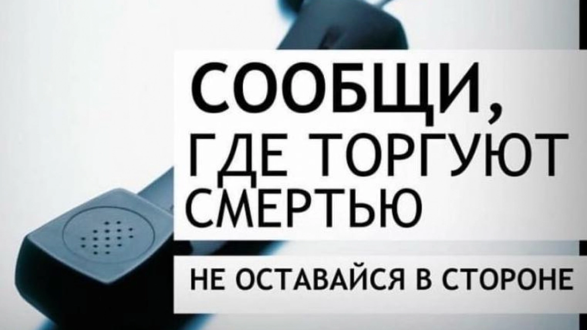 Липецкие полицейские принимают сигналы о торговцах запрещёнными веществами