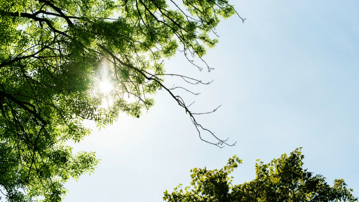 Липецкий воздух признали чистейшим среди промышленных городов России