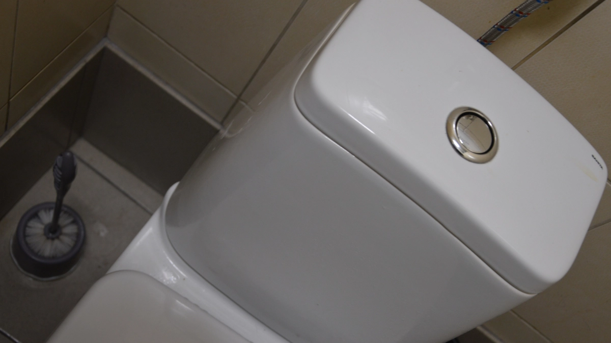 Ходить в туалет на обычный унитаз больше не в тренде: новый туалетный тренд скоро придёт в Россию