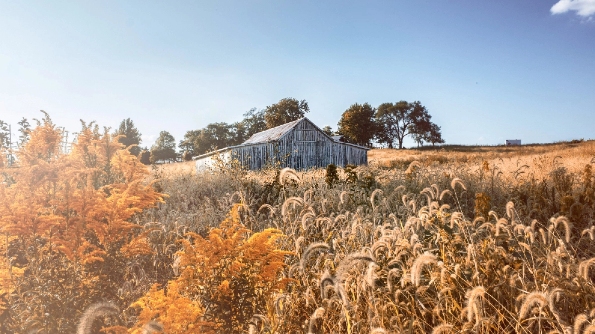 Липецкий застройщик уходит с рынка и оставляет семьи с недостроенными домами