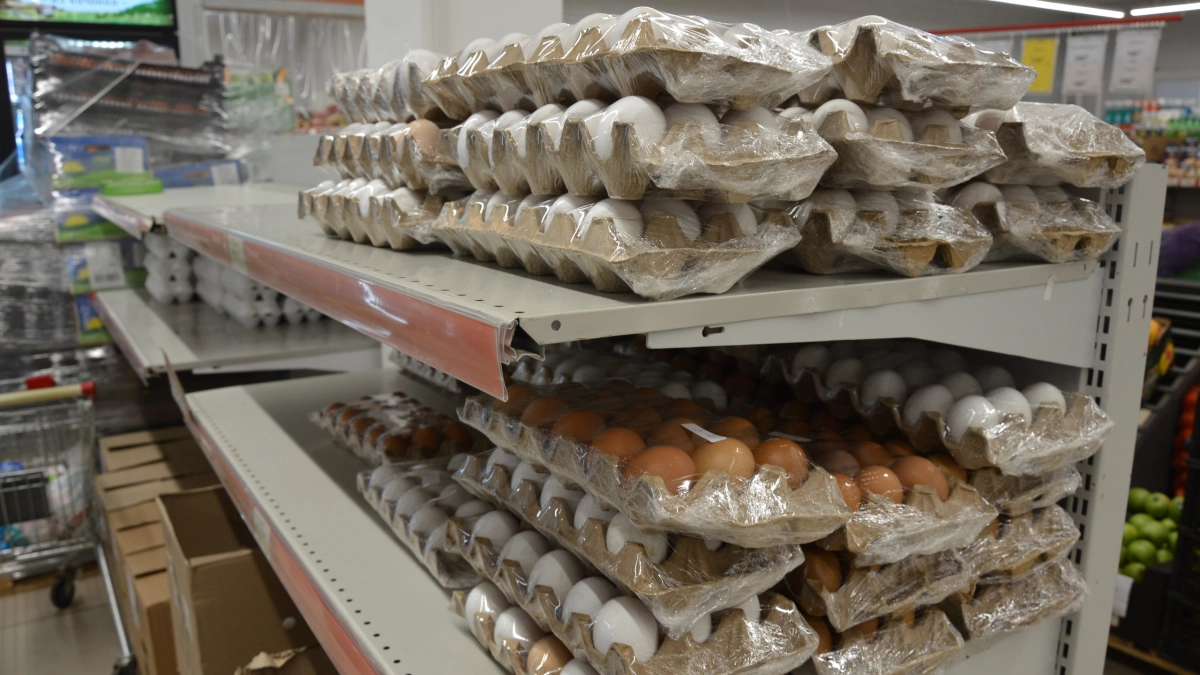 Яйца в 2026: рейтинг Роскачества — какие марки можно смело покупать, а какие лучше обходить