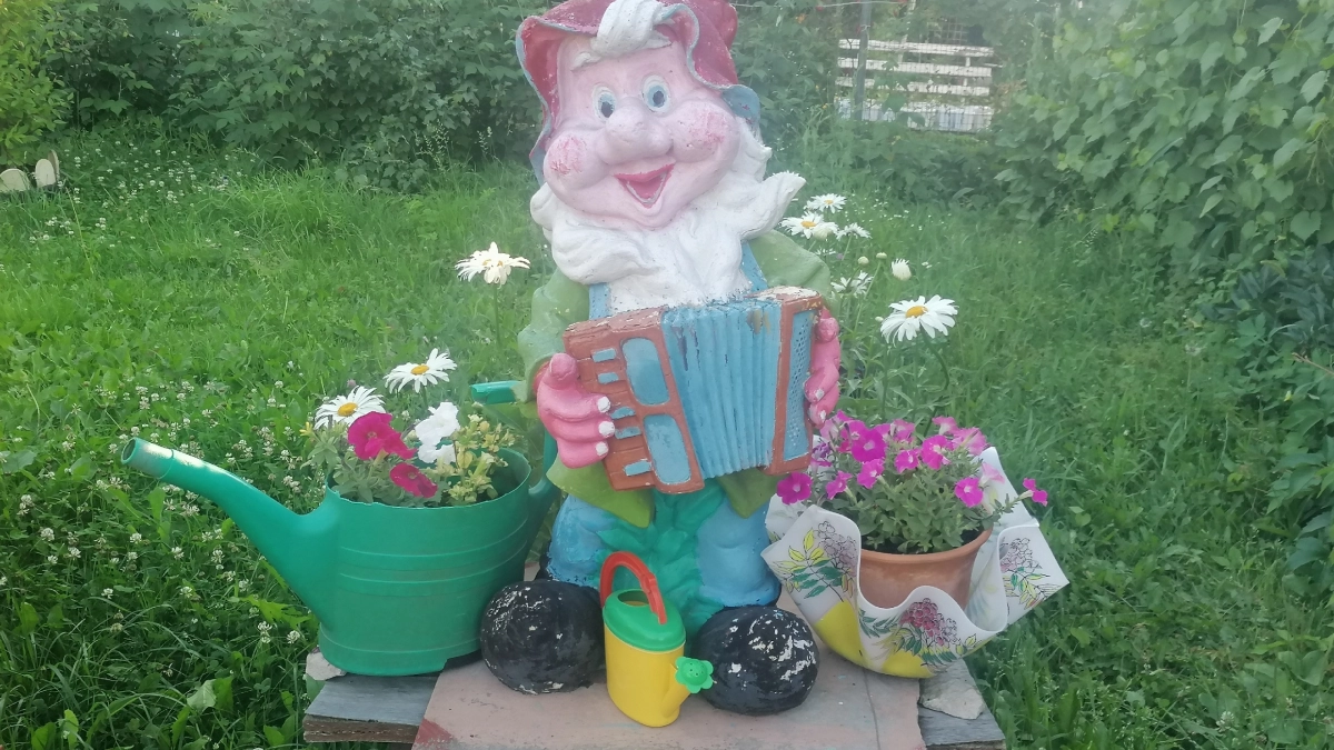 Дачников предупредили: за обработку участка от вредителей можно получить штраф до 20 тысяч рублей