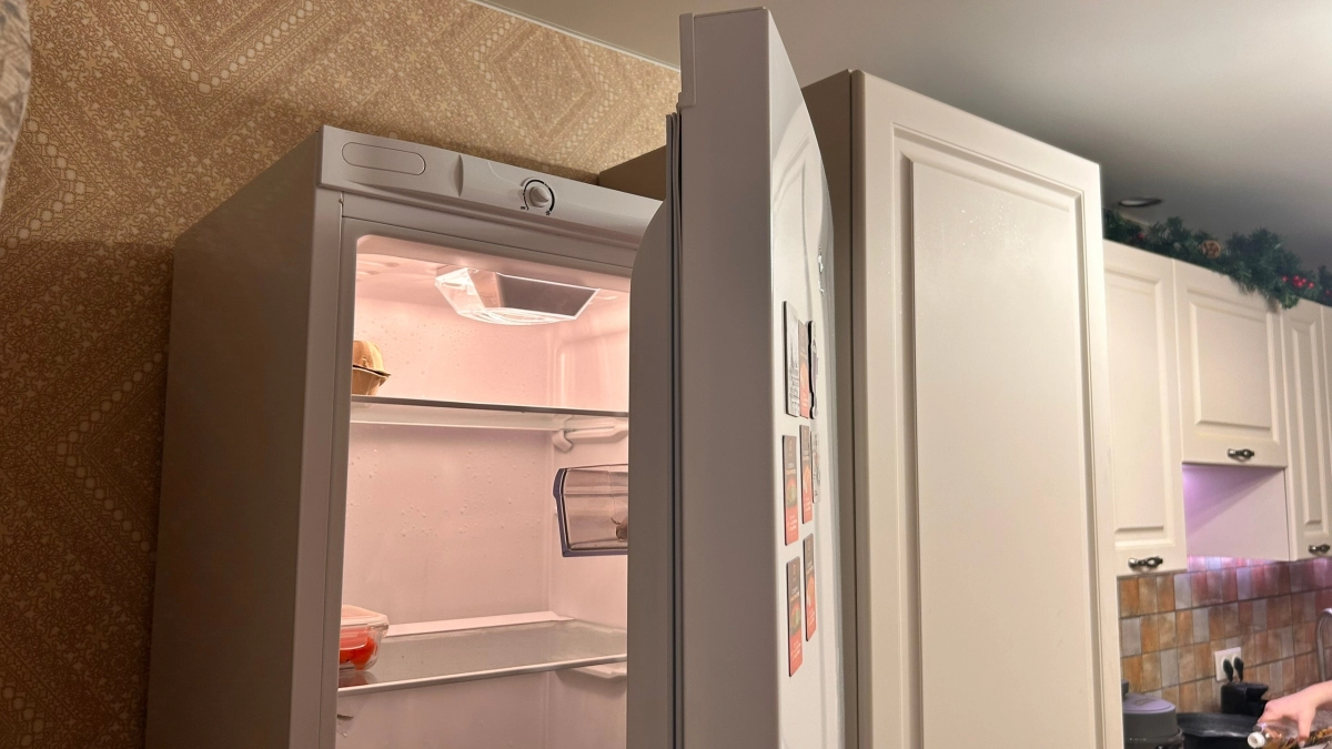 Всю жизнь пользовалась холодильником неправильно: оказалось, существуют летний и зимний режимы – вот как правильно переключать