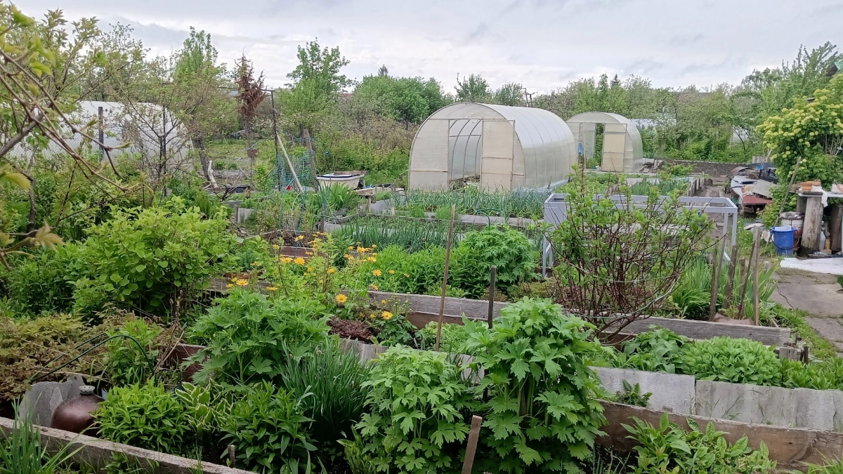 Дачники, проверьте теплицы: с 1 мая штрафуют, а заодно могут заставить снести – новые правила