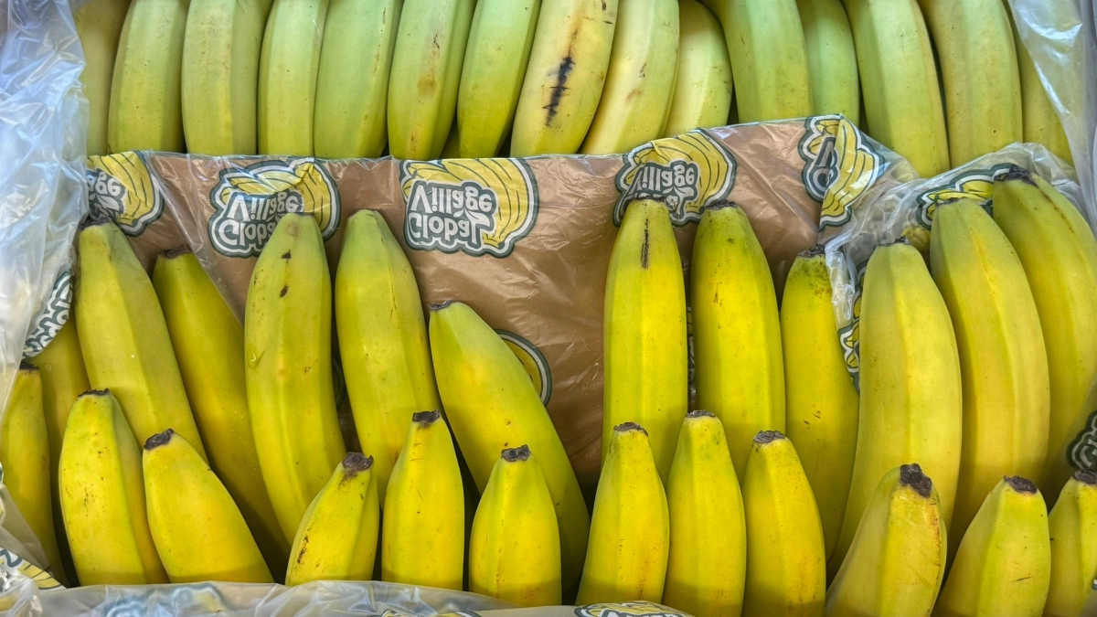 Для чего продавцы из "Магнита" и "Пятерочки" разбирают маленькие пакетики из ящиков с бананами