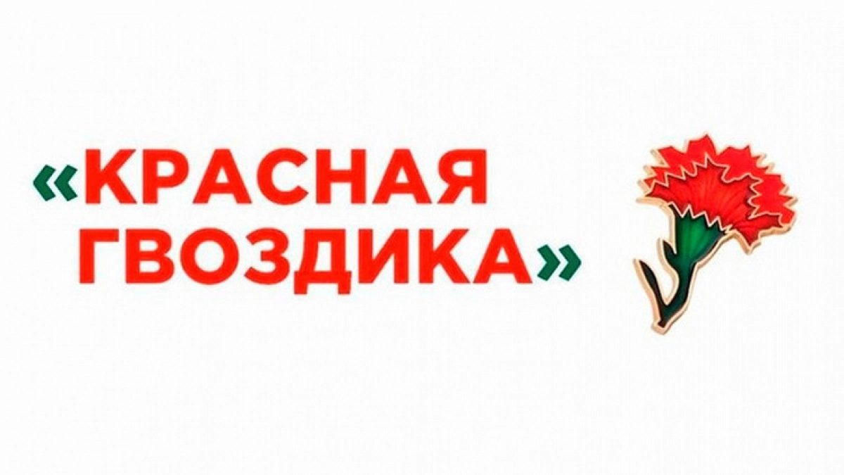В Липецкой области стартовала всероссийская благотворительная акция «Красная гвоздика»
