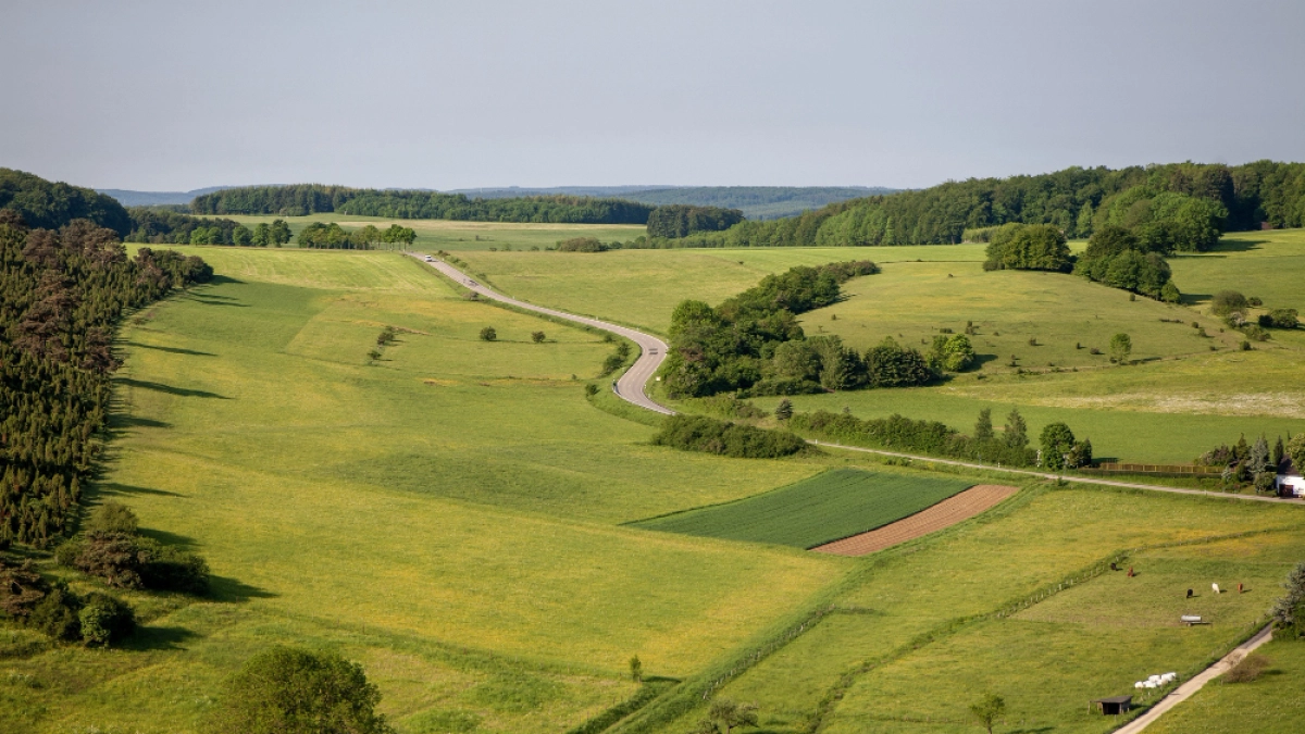 Липчане получили доступ к цифровой платформе по земле и недвижимости