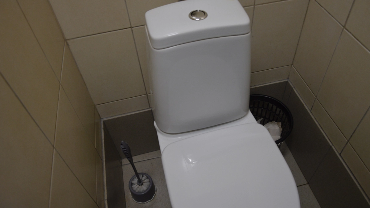 1 стакан в унитаз на ночь - утром даже вековой панцирь грязи растворился: чисто, как в бизнес-классе