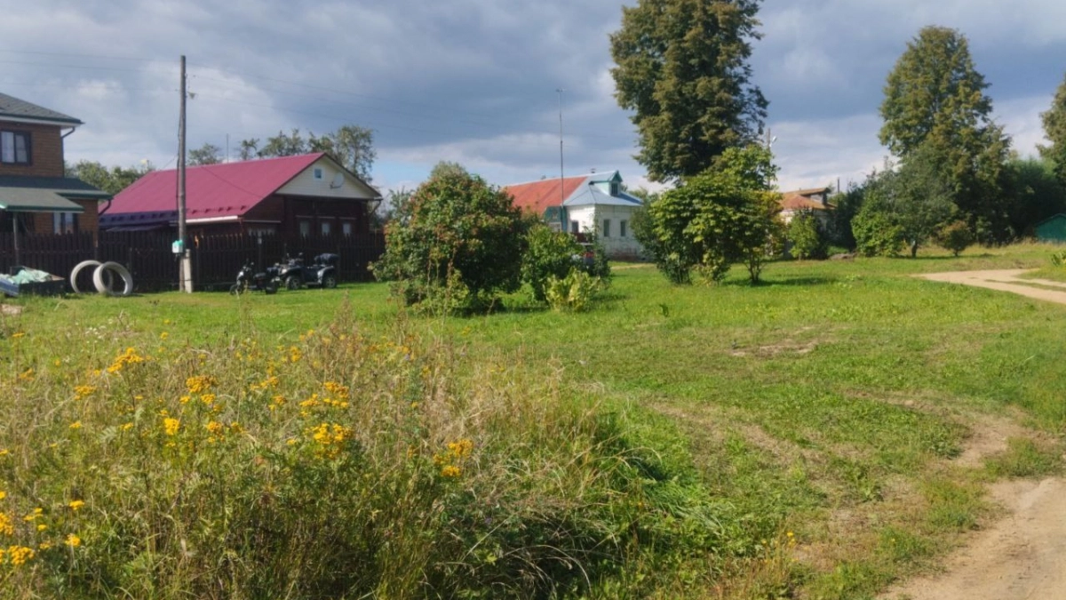 Сюда переезжают даже москвичи: приехала в «самое красивое село» России и поняла, почему