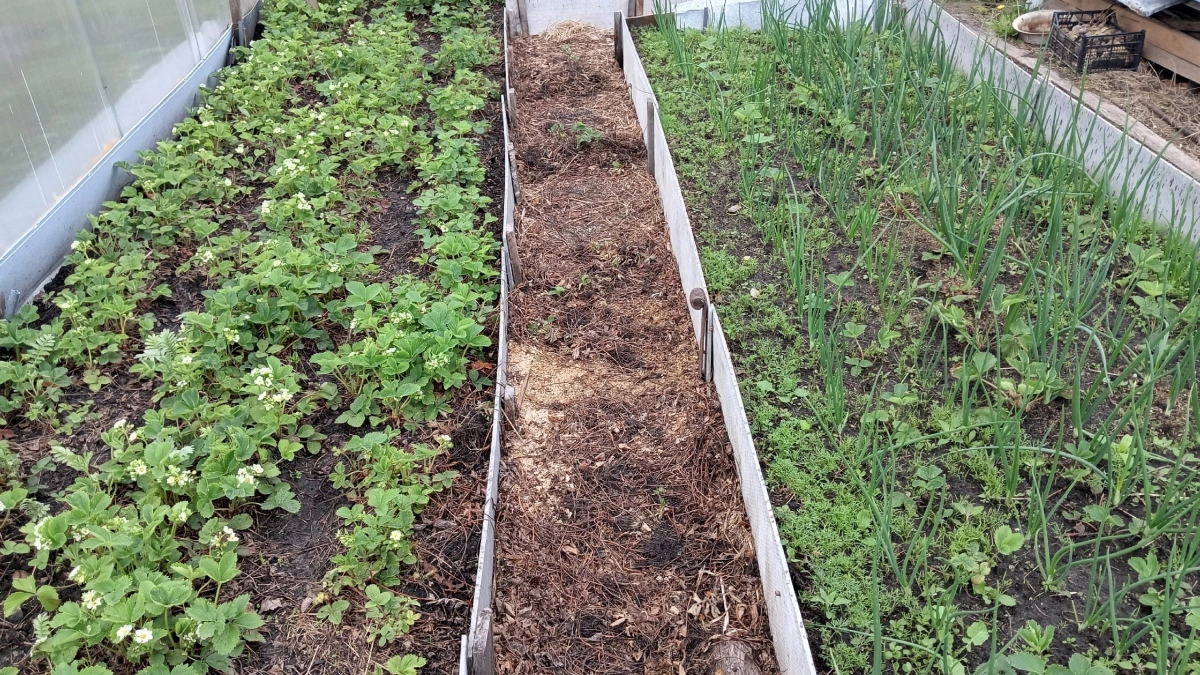 Штраф и даже уголовка: за какую обработку земли на даче теперь будут наказывать всерьез