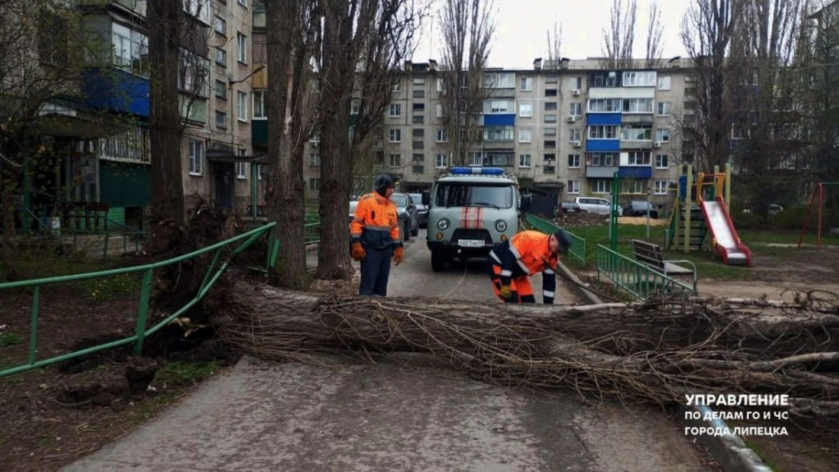 Липецкие деревья перегородили дороги после урагана