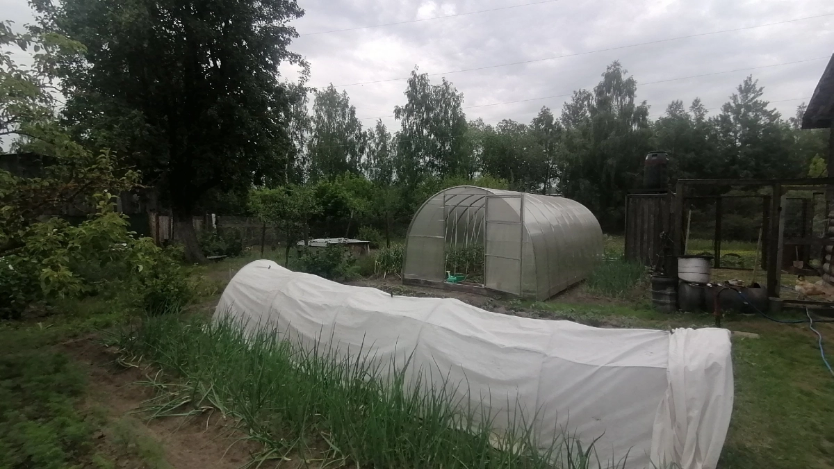 Яичная скорлупа на огороде: куда её сыпать, сколько нужно и работает ли вообще — честный отзыв дачников