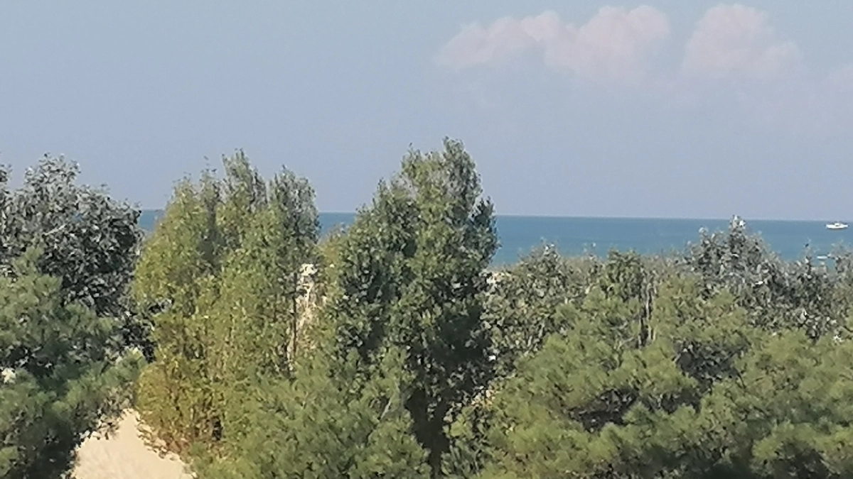 На наш Юг больше не поеду - нашла место получше: теплая вода, не хамят и в 2 раза дешевле, чем в Абхазии