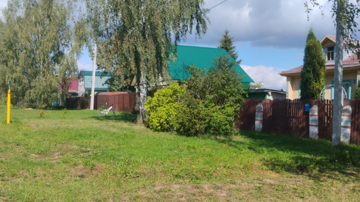 Переехали жить в деревню и через неделю поняли, почему там никто больше не хочет жить – причина все время была на виду