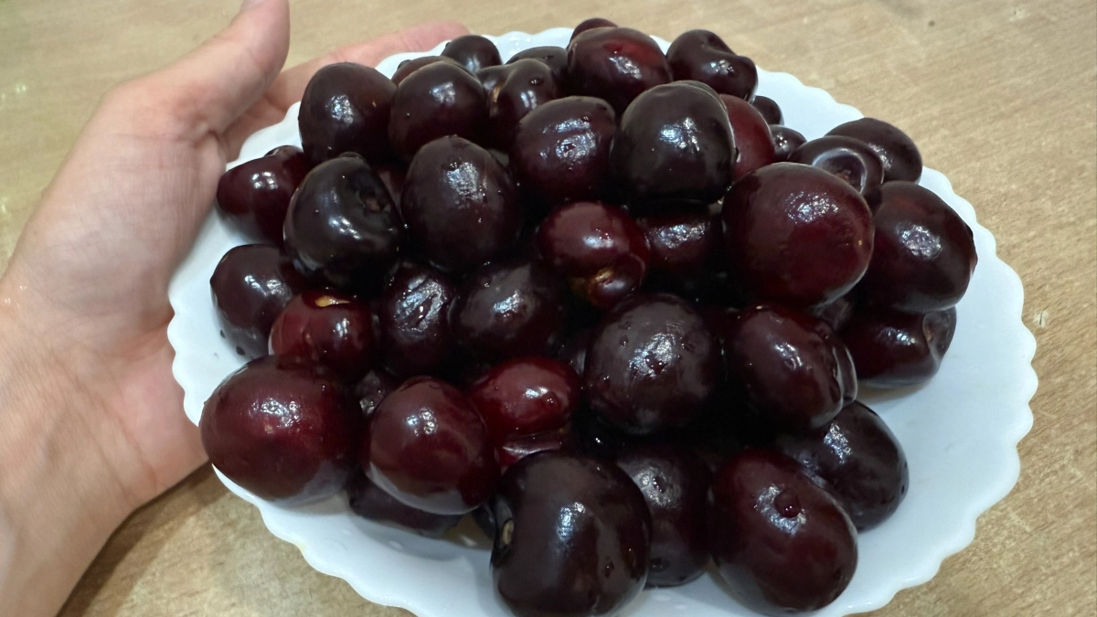 Не черешня и не вишня — вкуснее и ароматнее: плоды слаще меда и дерево растет без лишних хлопот 