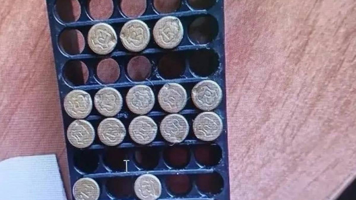 В Чаплыгинском округе задержан мужчина с незаконным арсеналом патронов