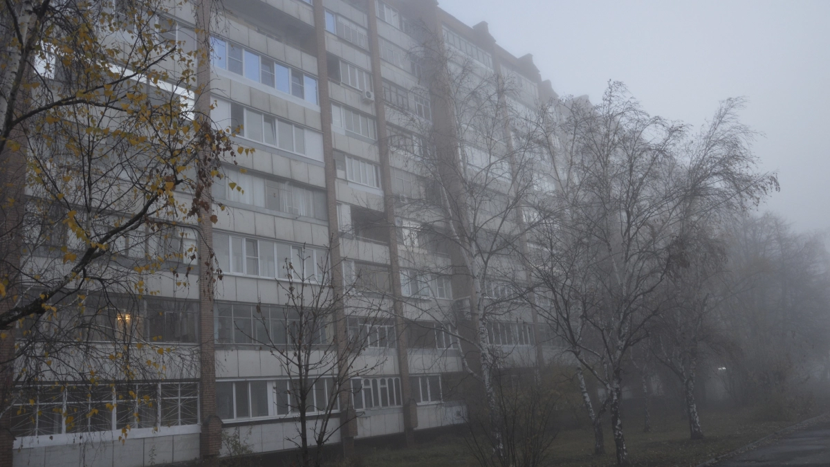 В Липецкой области воскресенье начнётся с тумана и слабых дождей