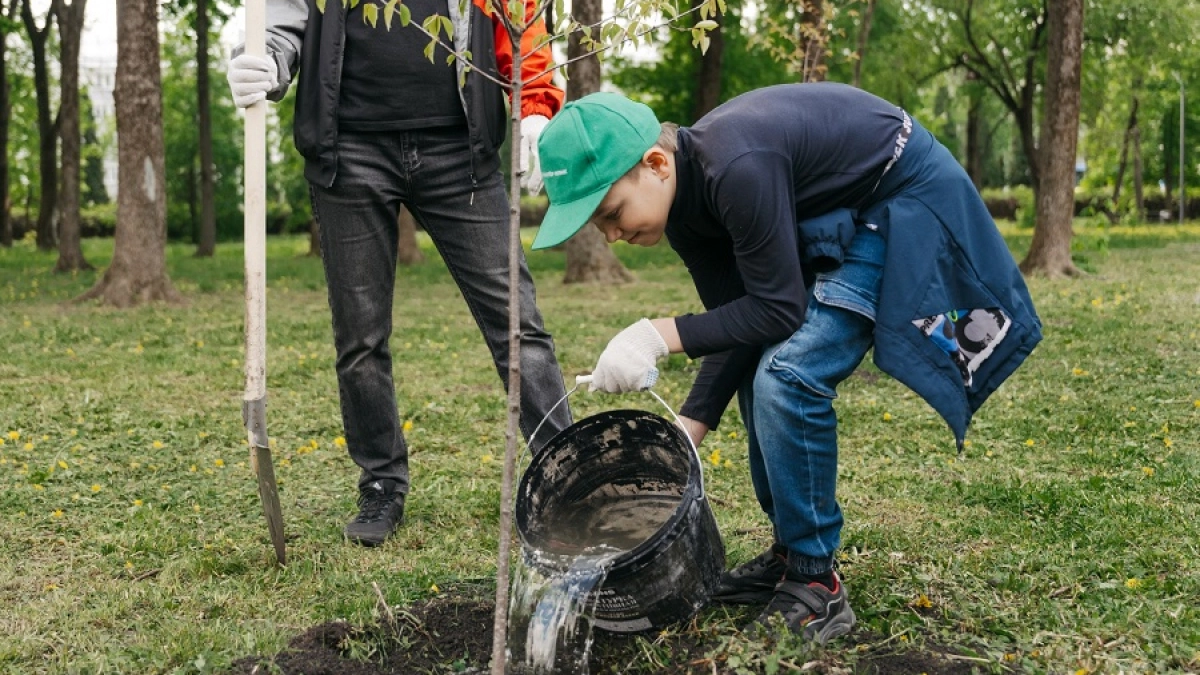 Липецкие волонтёры облагородят скалы Каменного лога