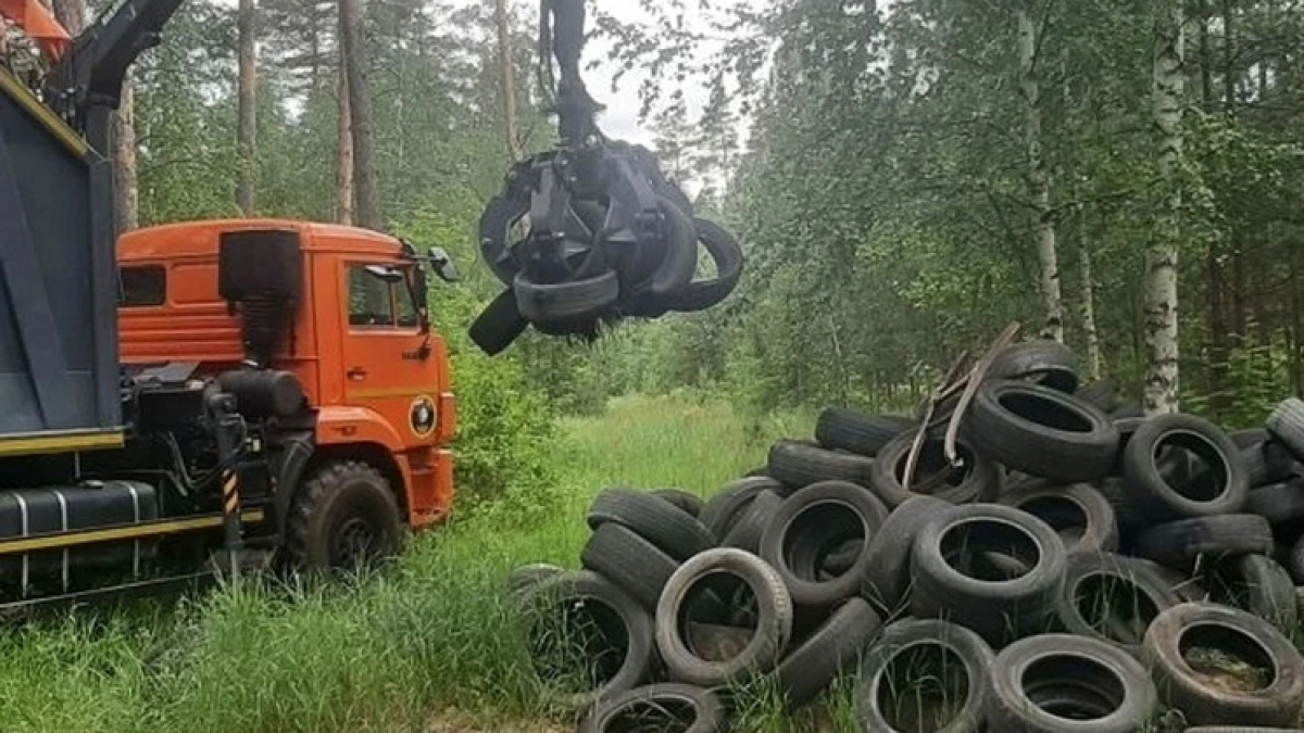 Незаконную свалку шин ликвидировали в городском лесу Липецка