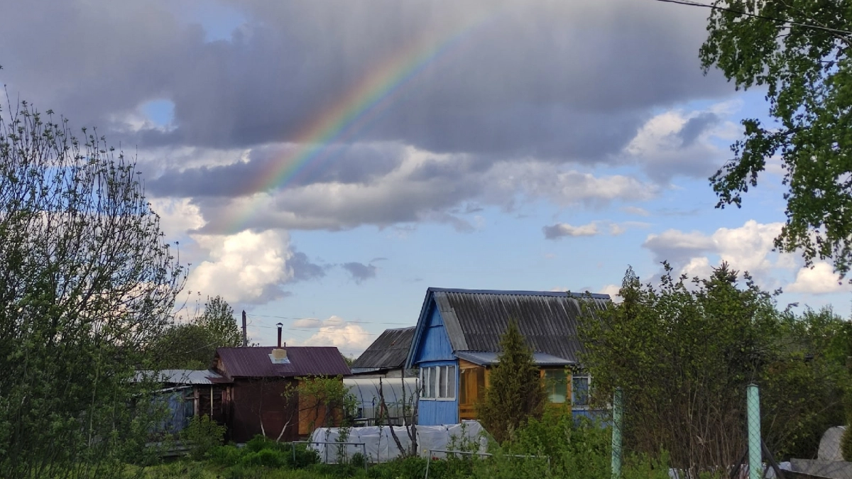 С 1 июля вводят новшества для всех, у кого есть дачный участок: к чему готовится