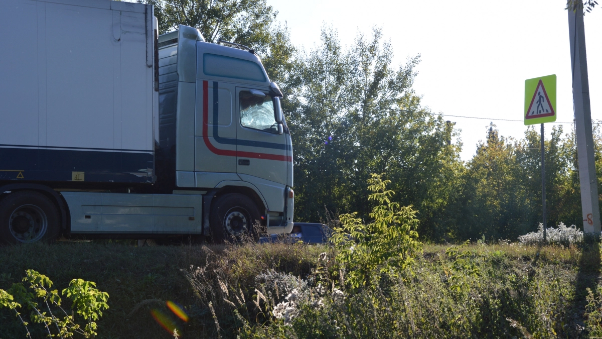 Жителя Липецка оштрафовали за стоянку для фур на садовом участке