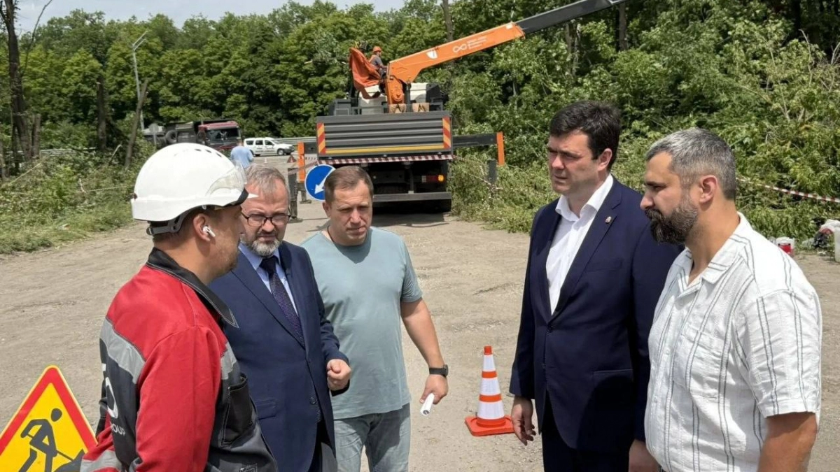 Четыре полосы и кольцо появятся на въезде в «Елецкий»