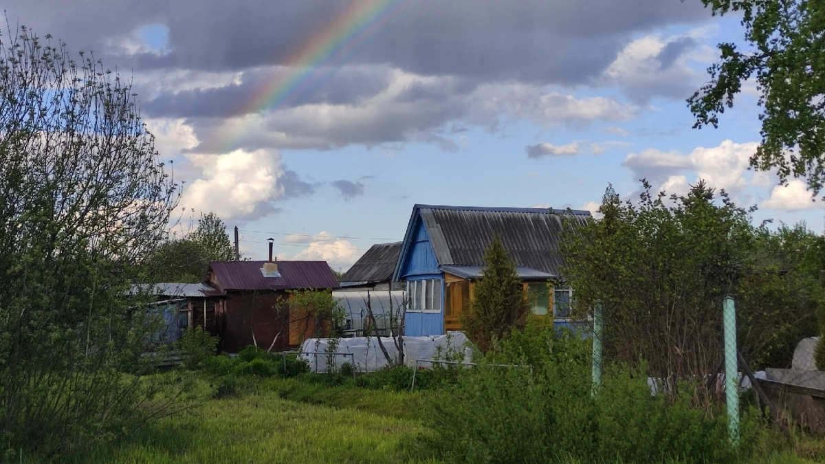 Почему старые дачи больше некому не нужны: участки брошены, цены рухнули, наследники не едут