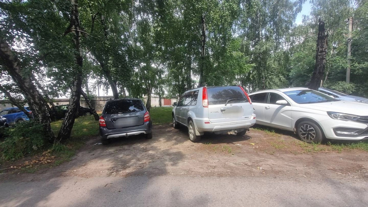 Липецкие водители губят газоны ради тени под тополями