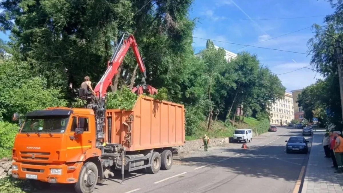 На Сапёрном спуске убрали ветки, мешавшие автомобилистам