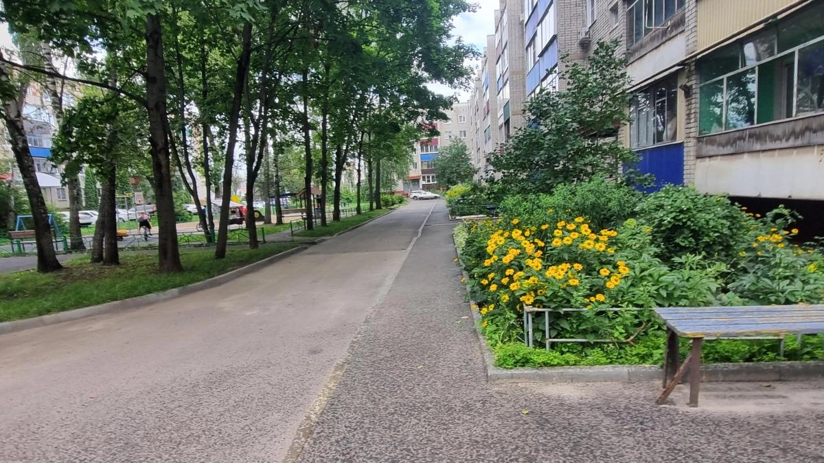 Мэрия Липецка проверила дворы на Московской вместе с жителями
