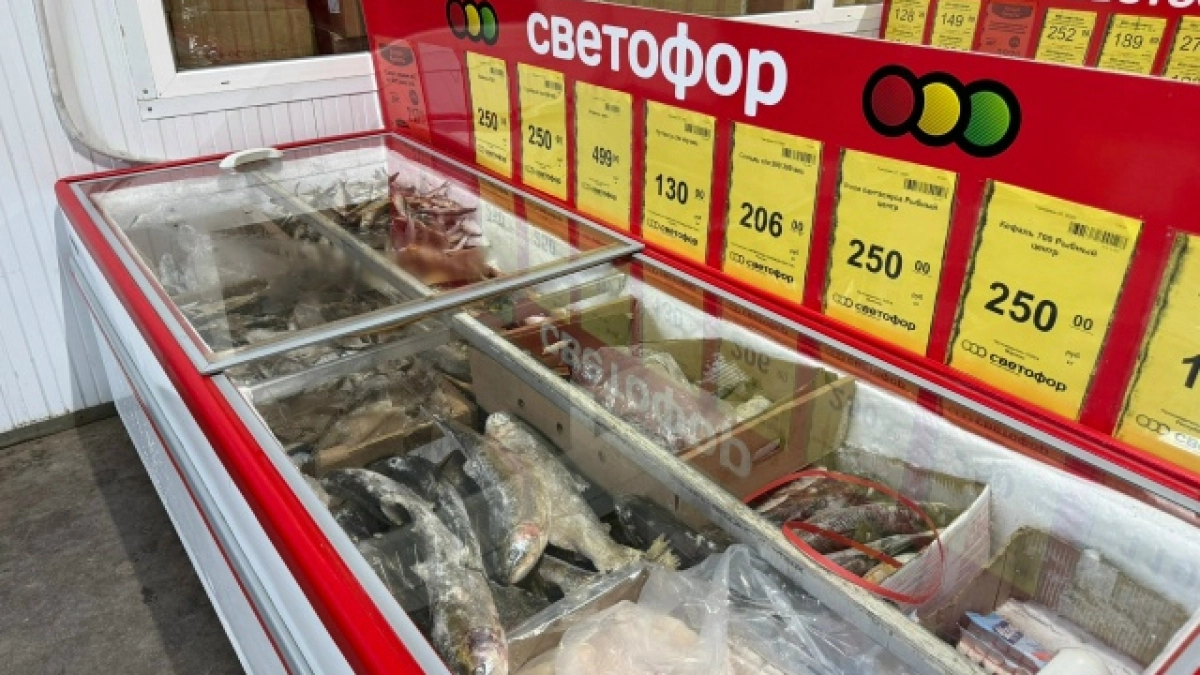 Заехала в «Светофор»: пополнили посуду и утварь — обзор на интересные товары