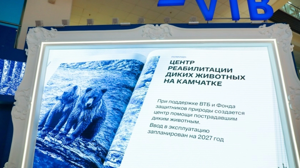 ВТБ создает центр реабилитации диких животных на Камчатке