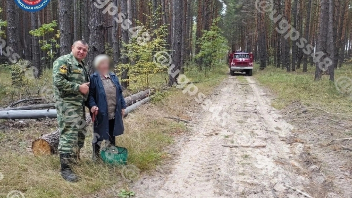 В Чаплыгинском округе спасатели нашли заблудившуюся в лесу 91-летнюю пенсионерку