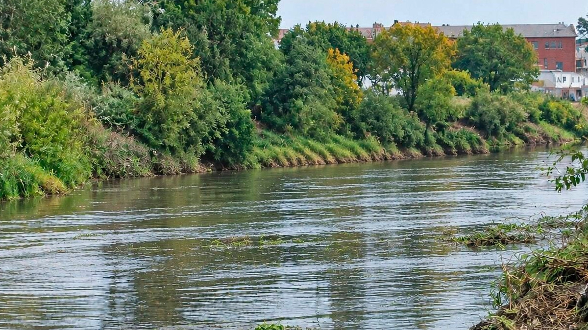 В Ельце займутся расчисткой реки Сосна