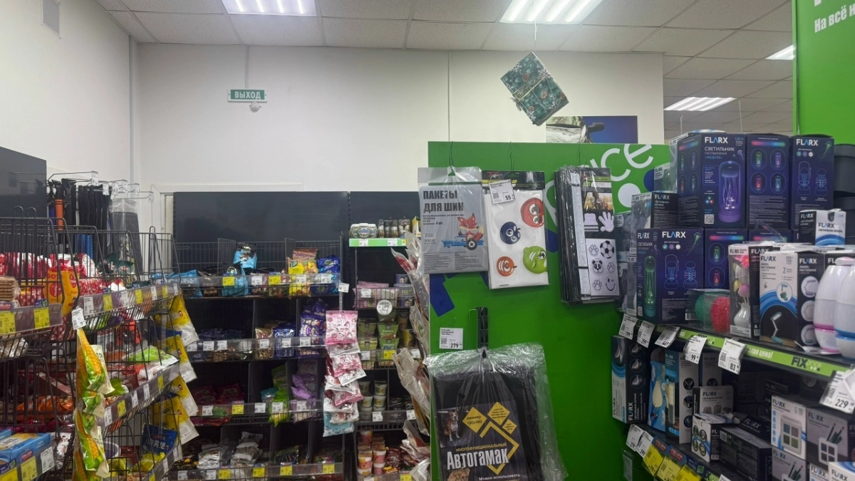 Скупаю дождевики из Fix Price пачками: несу домой и делаю 5 полезных вещей — помогают дома и в поездках