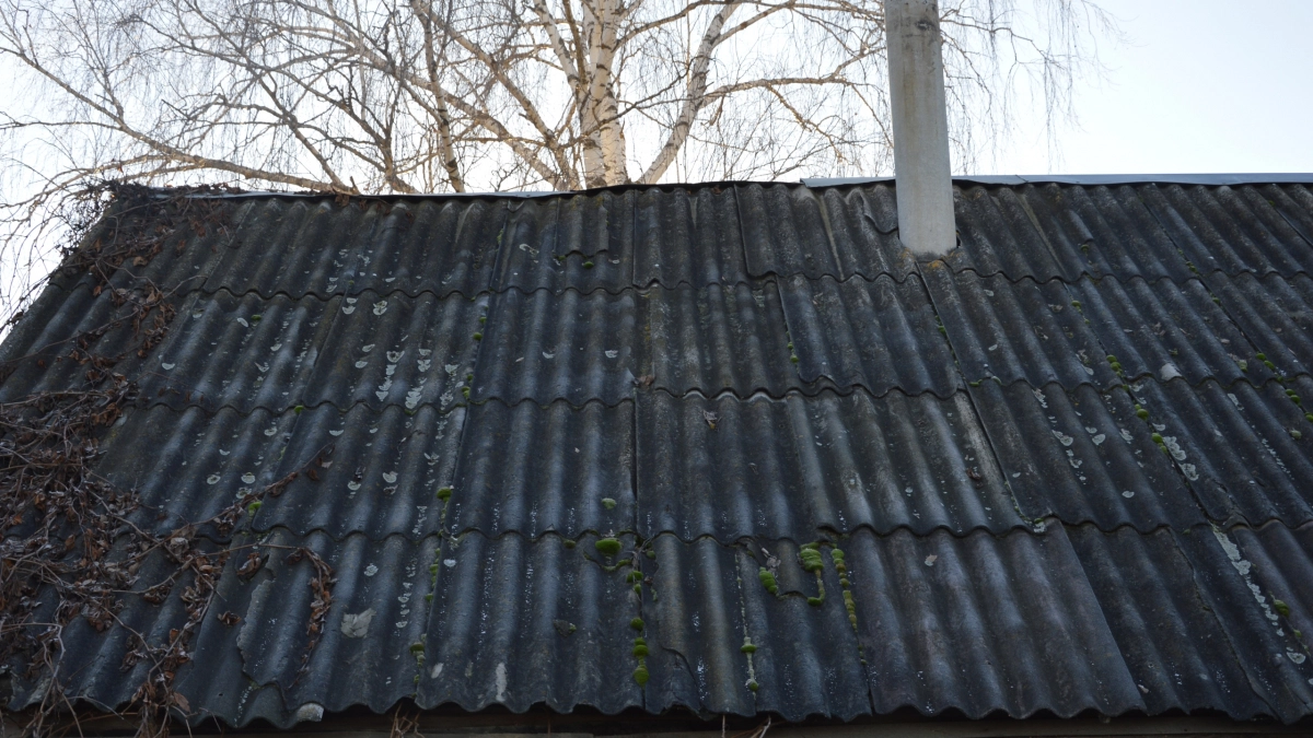 Пара горстей в горячую печь — и сажа теряет хватку: осенний приём чистки дымохода перед наступлением морозов