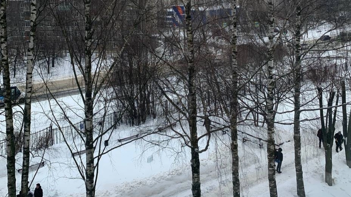 Зима не за горами: названа дата первого снега в Центральной России – свежий прогноз от синоптиков