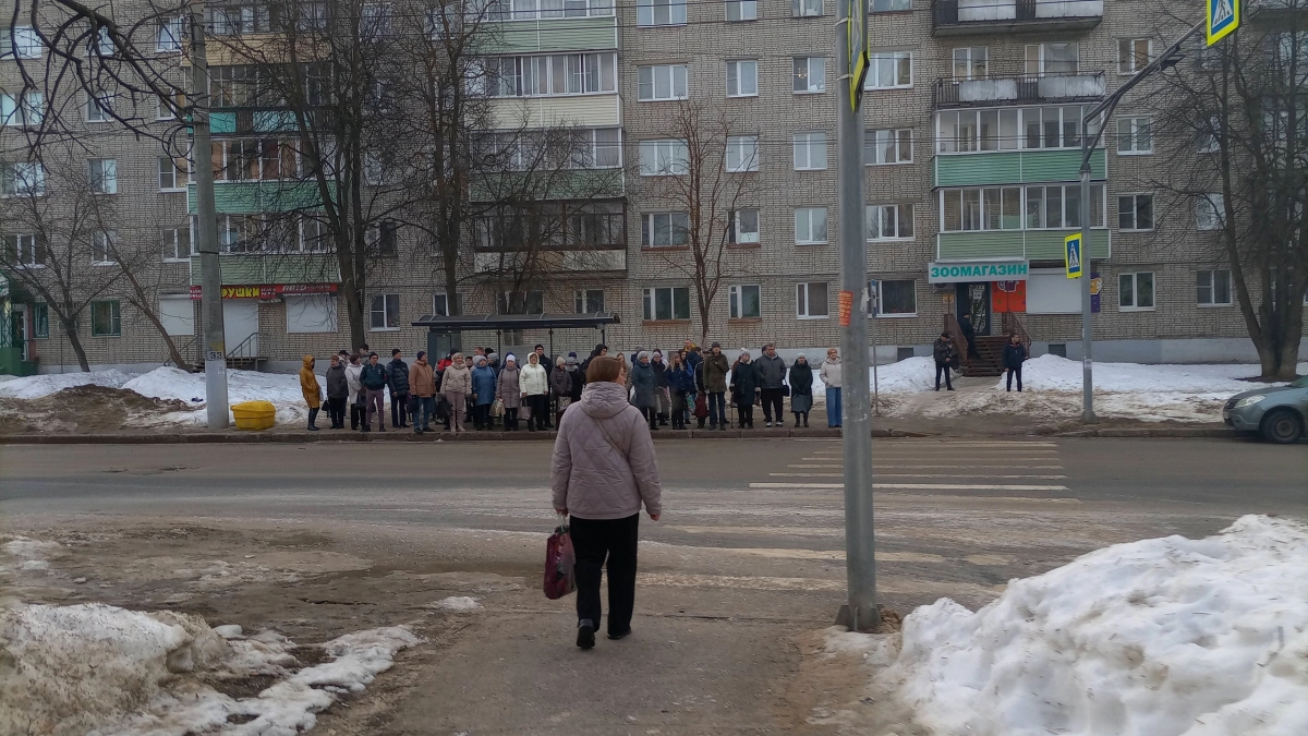 Водителям объяснили: вот как по новым правилам водитель обязан уступать дорогу на пешеходном переходе