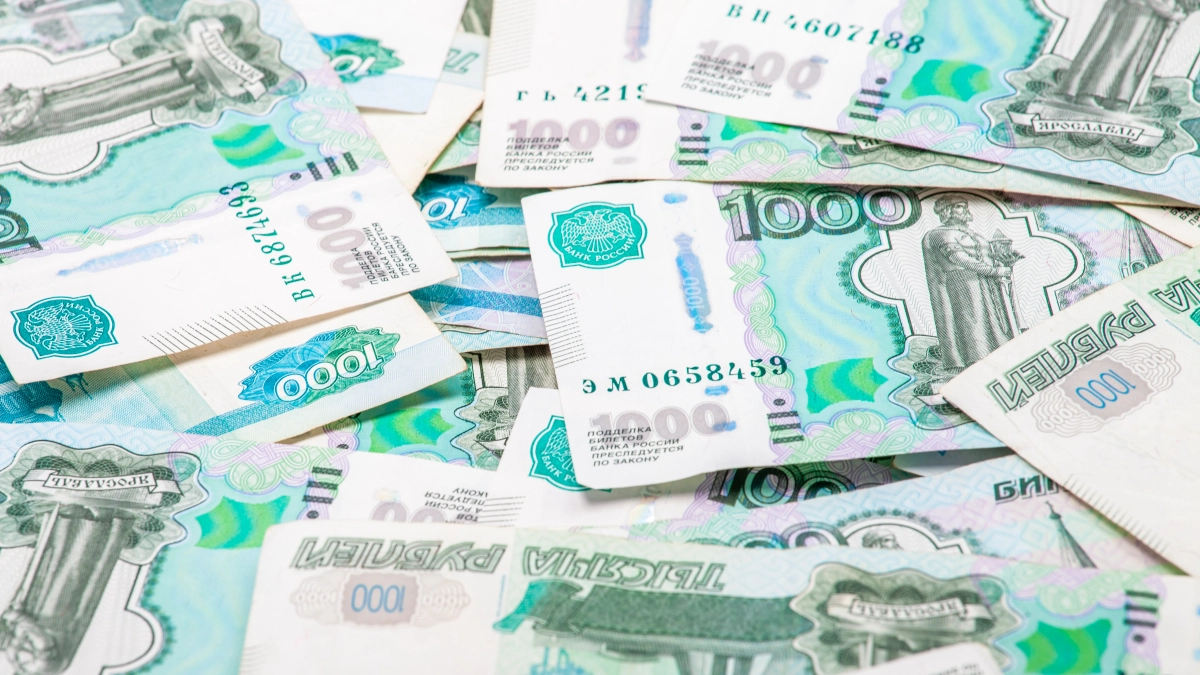 Липецкие мошенники заработали 33 миллиона на фиктивных фирмах