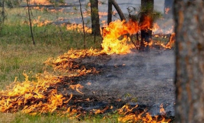 В Липецкой области вводят 4 класс пожароопасности с 7 сентября
