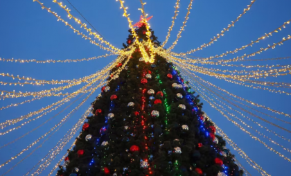 Главная елка региона зажглась на площади Петра Великого