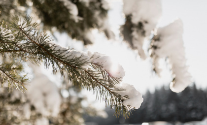 После 19 января в регионе начнется потепление