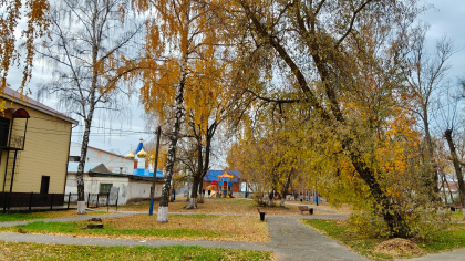 Весенняя посевная в России набирает темп: засеяно свыше 1,2 млн гектаров